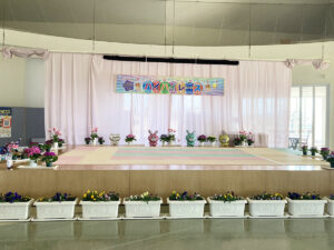 ハイハイレース