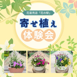 寄せ植え募集