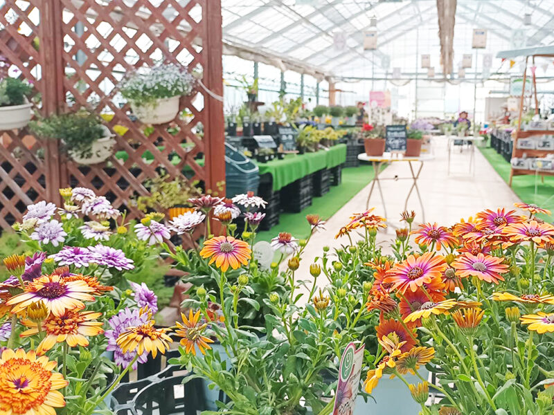 IMG_20240415_151147178