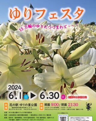 即発送可ゆり 様 専用（12月31日まで） 名刺入れ/定期入れ