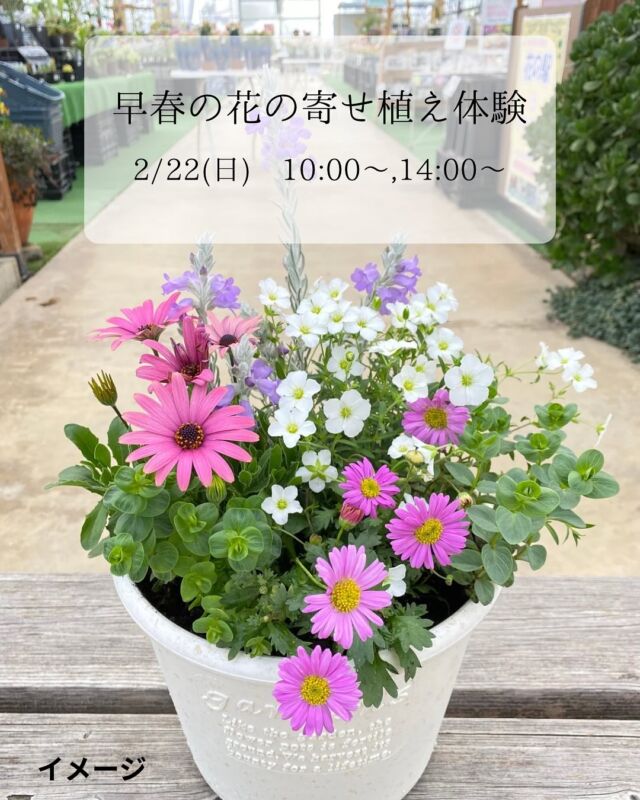 公園カレンダー 1月 - ゆりの里公園