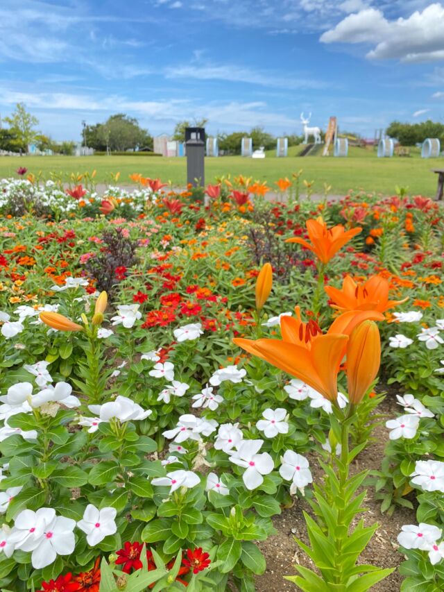 イベントボランティア募集開始 - ゆりの里公園